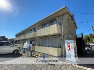 メイジー Sの画像