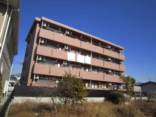 プラスパー門松の画像