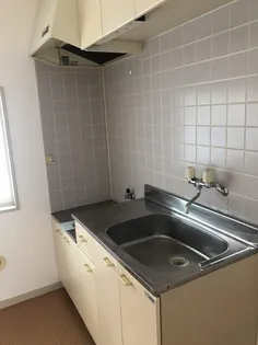 ハイツ村石【1階】のキッチン