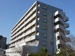 スカイコートの画像