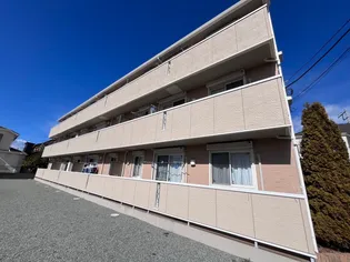 プルメリア グレイスの画像