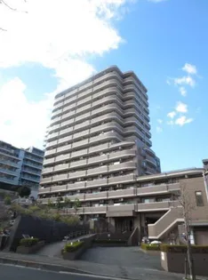 フォルスコート藤沢善行の画像