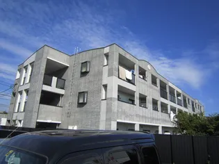 バウムガルトナーの画像