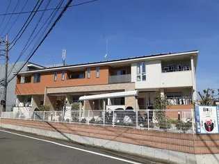 サンフローラIIの画像