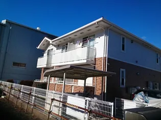 ハイフルの画像