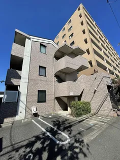 サンハイツ湘南台の画像