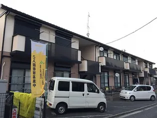 ビューバレーの画像