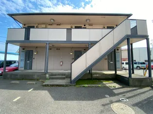 アムールの画像