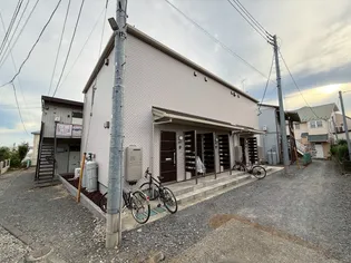 メイ シェノンの画像