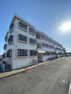 ルミエール湘南の画像