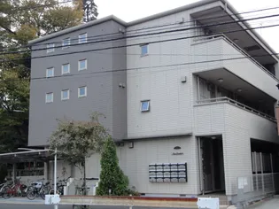 カサグランデの画像