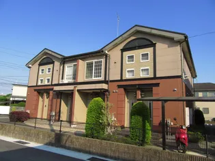 ファイン Y Bの画像