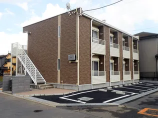 レオネクスト春の画像