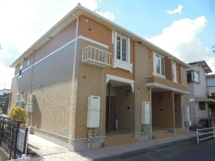 ラフィーネワンの画像