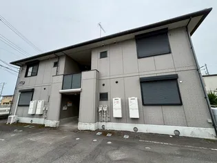 グレースなしの木の画像