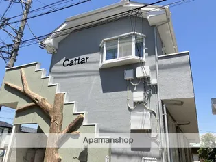 CATTARの画像