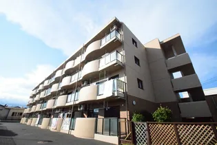 シンフォニアの画像