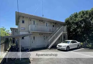 マロングレイスの画像