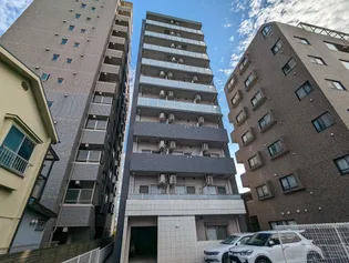 ネオブロッサムの画像