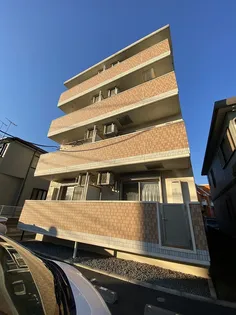 シェールミントの画像