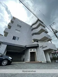 グレイスイセハラの画像