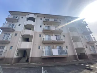 ジュネス星野【4階】の外観