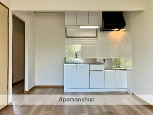 石丸ハイツ【203号室】のキッチン