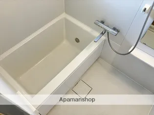 石丸ハイツ【203号室】の風呂