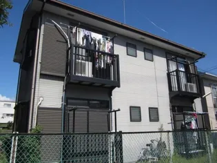 京ドルフの画像