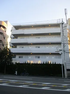 ロス シンコ ソラールの画像