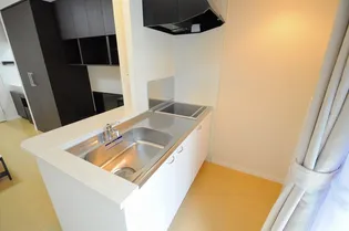 レオネクストアヴェンティーノ【2階】のキッチン