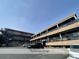 メタセコイヤの画像