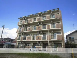 カルム ワンの画像