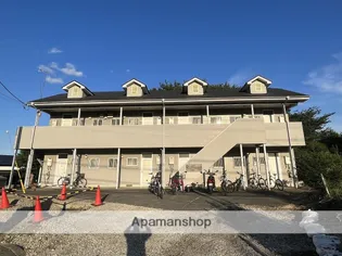 ハイムレイメイの画像