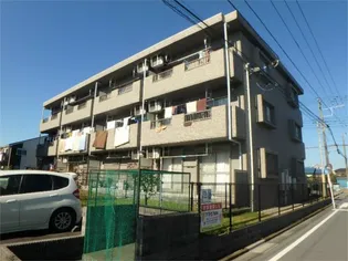 プリモの画像