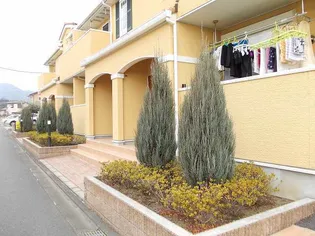 ワン グレイン K Sの画像