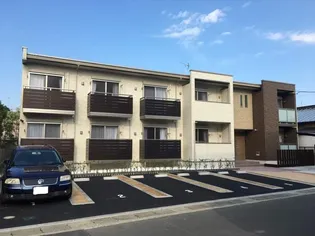 ミランダサンシャインIIの画像