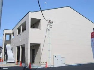 コンフォルト Tの画像