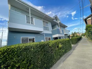 パイエル吉田の画像