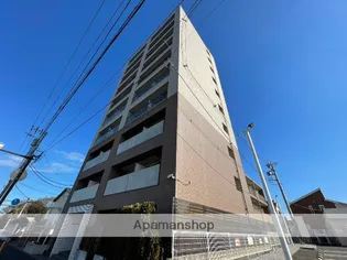 ESPERANZA桜の画像