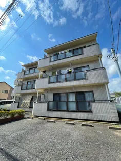 グレースナイン湘南【3階】の外観