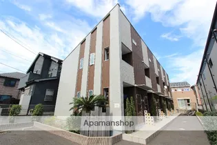 PALMA FORESTAの画像