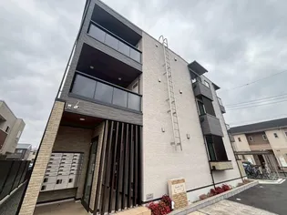 カメリア ORの画像