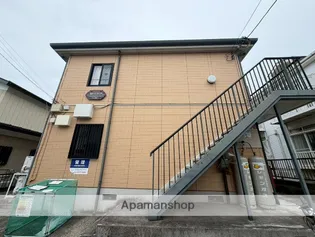 M ソフィアの画像