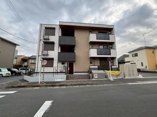 SAME SKYの画像