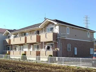 サニー エム エの画像