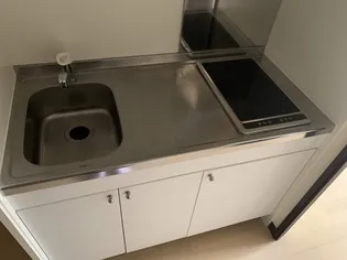 レオネクストパラティーノ【2階】のキッチン