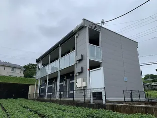 レオネクストパラティーノ【2階】の外観