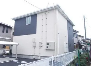 アプリコットの画像