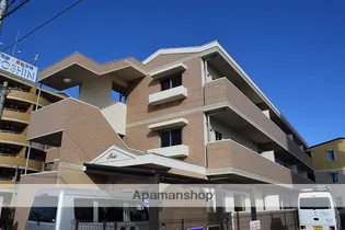 アイリスの画像